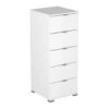 Demeyere Chiffonnier 5 Tiroirs Blanc Perfect -MaisonChic Magasin chiffonnier 5 tiroirs blanc perfect